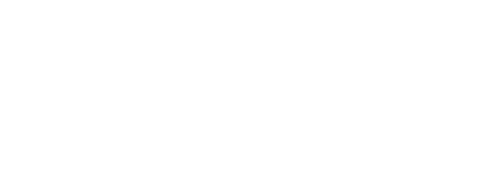 Bio Bridges Logo